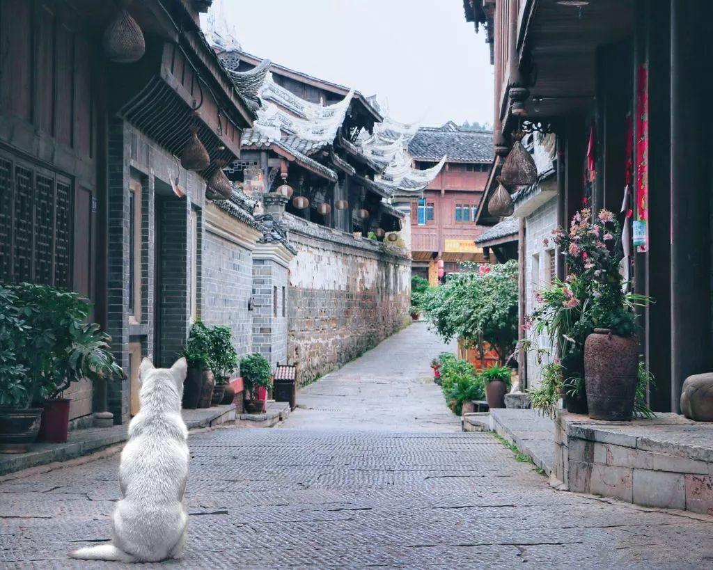 “期待中国为世界旅游业发展注入更多动力”(国际视点)
